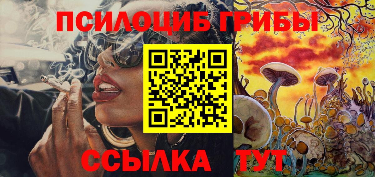 Дмитров  Галлюциногенные грибы ЛСД  Вход с VPN 