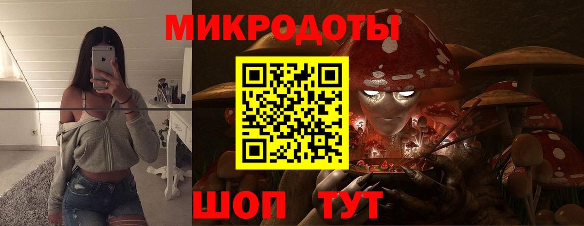 Галлюциногенные грибы Psilocybine cubensis Дмитров